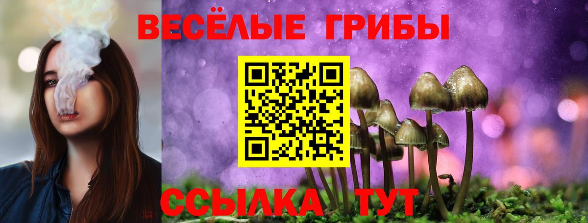 Галлюциногенные грибы мухоморы Ливны